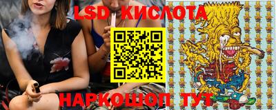 прущие грибы Нальчик
