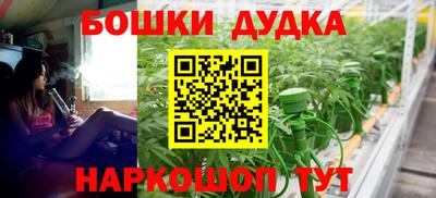 прущие грибы Нальчик
